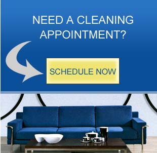 Schedule a Cleaning Appointment